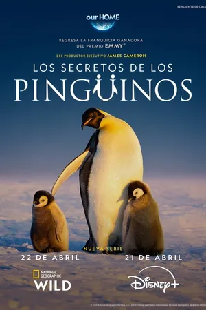 Secrets of the Penguins