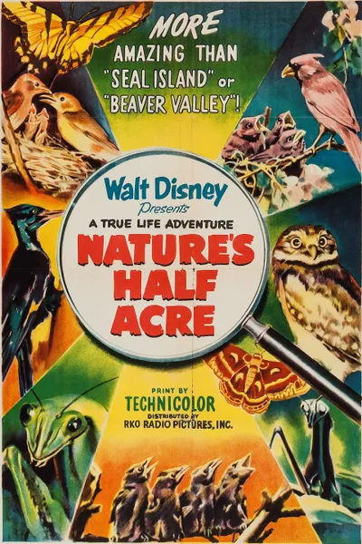 Nature's Half Acre