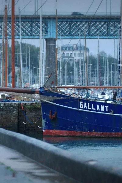 À l'école de l'universel: Germaine Le Goff, l'histoire d'une pionnière